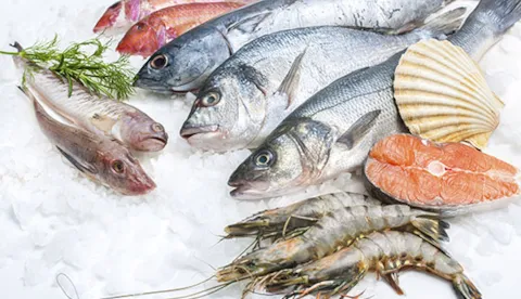 Pesca e acquacultura sostenibile
