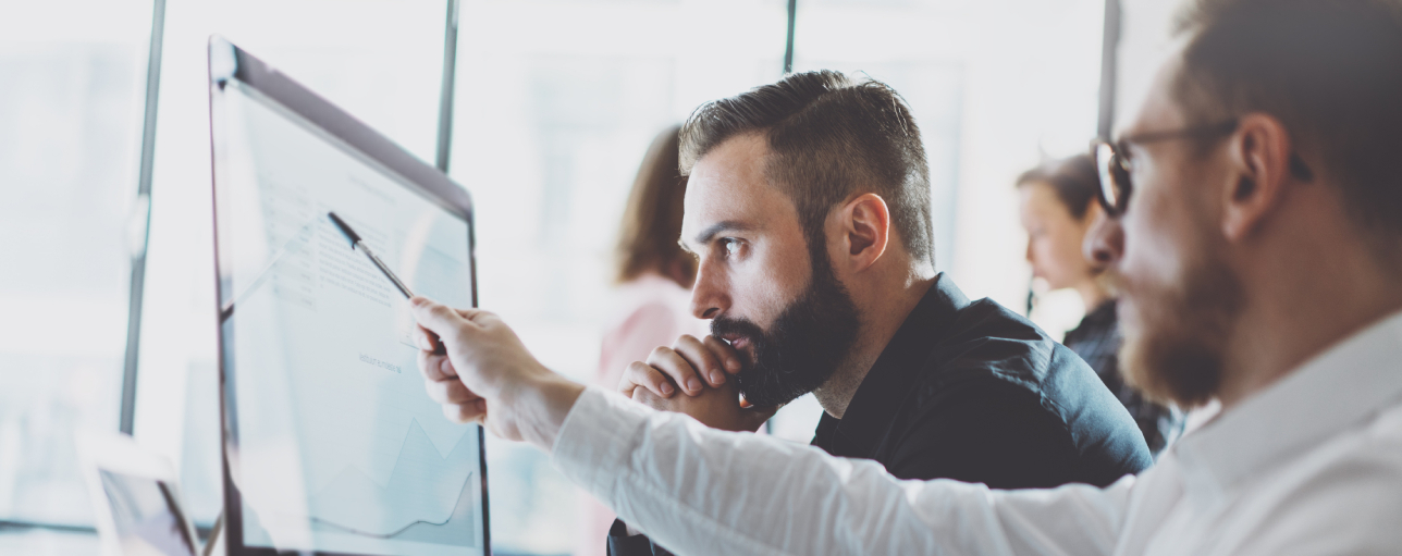 Second Party Opinion (SPO)