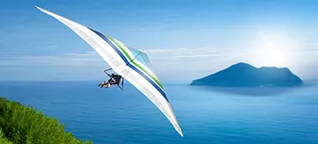 Online self assessment suite