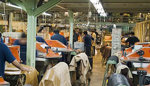 Gestione sociale ed etica