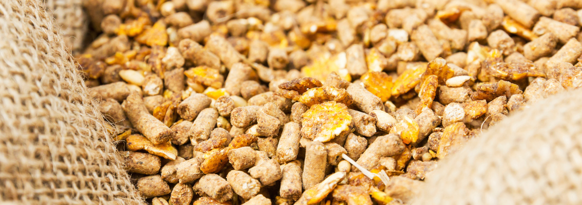 Certificazione NO OGM secondo la UNI/PdR 142:2023