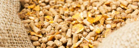 UNIPdR 1422023_ 1134x400 feed