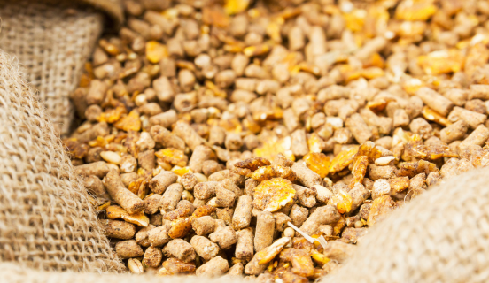 Certificazione NO OGM secondo la UNI/PdR 142:2023