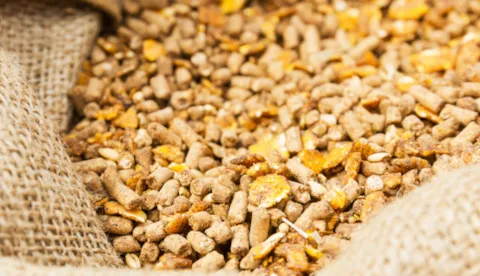 Certificazione NO OGM secondo la UNI/PdR 142:2023