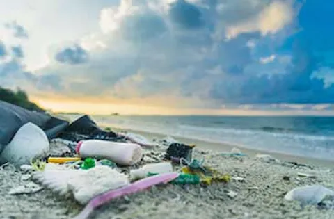 Cosa conta per i consumatori nella transizione circolare?