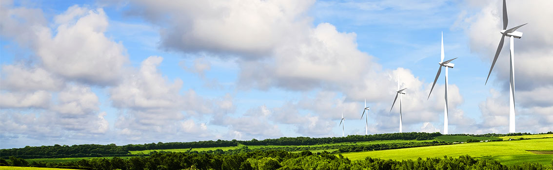 ViewPoint survey summer 2015 - Energy Management