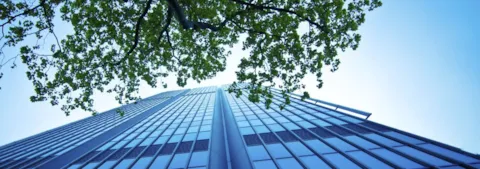 Modern office building and a tree